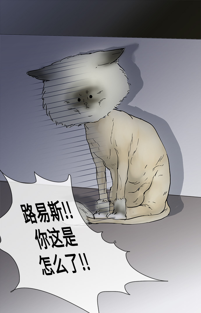 第19话22