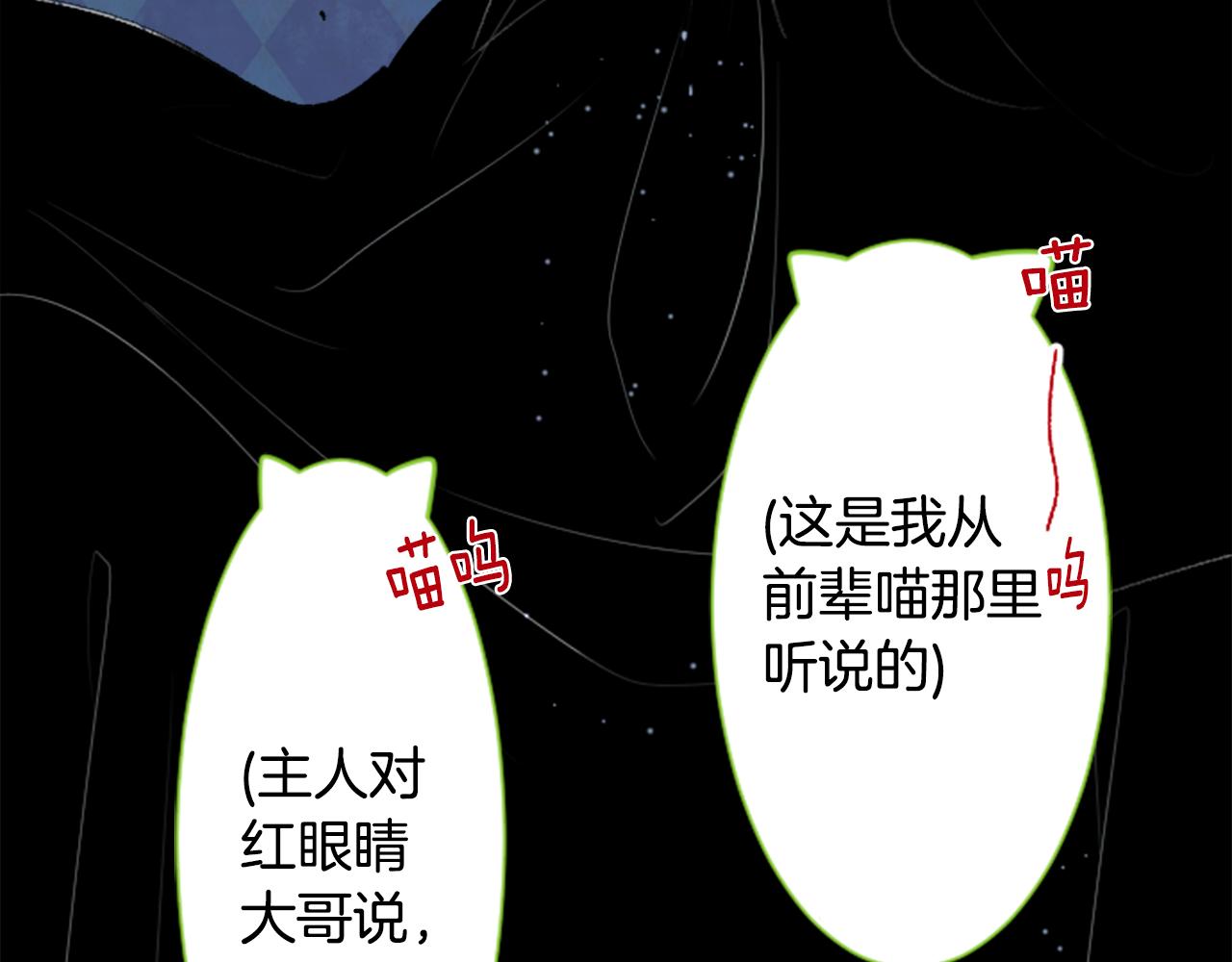 第34话 魔法师和恶魔猫290