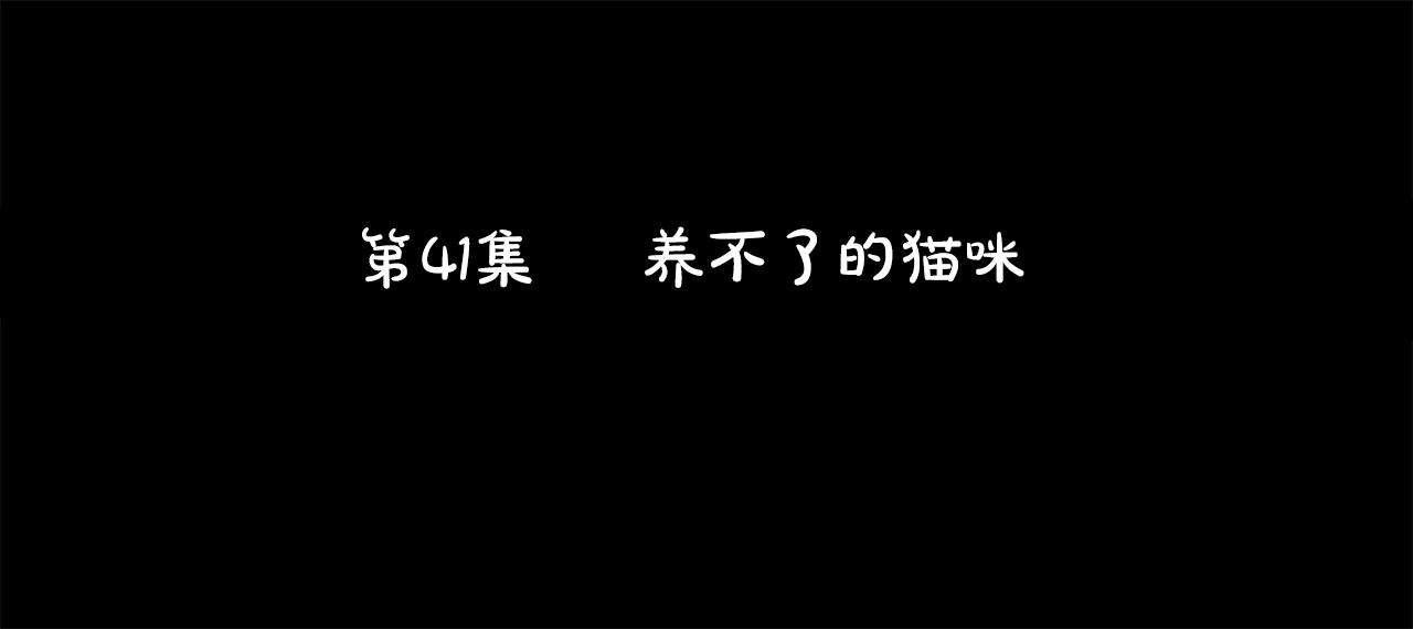 第41话 养不了的猫咪5