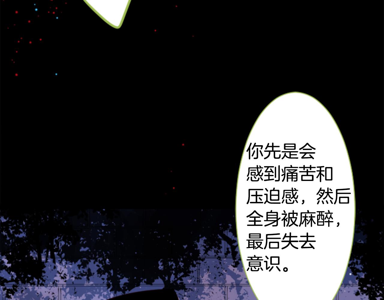 第41话 养不了的猫咪101