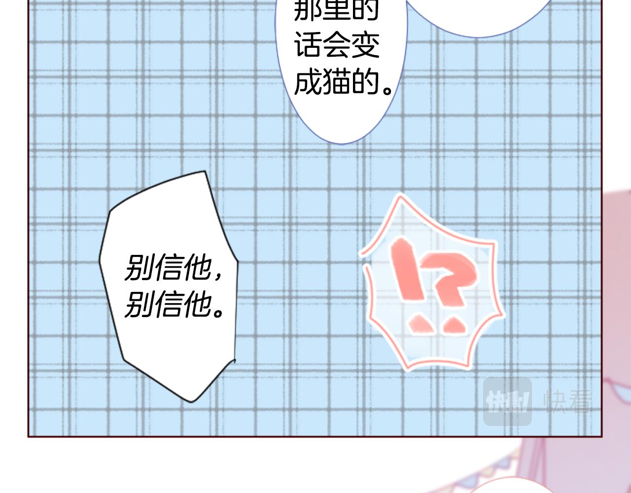 第76话 上午8点的小王子254