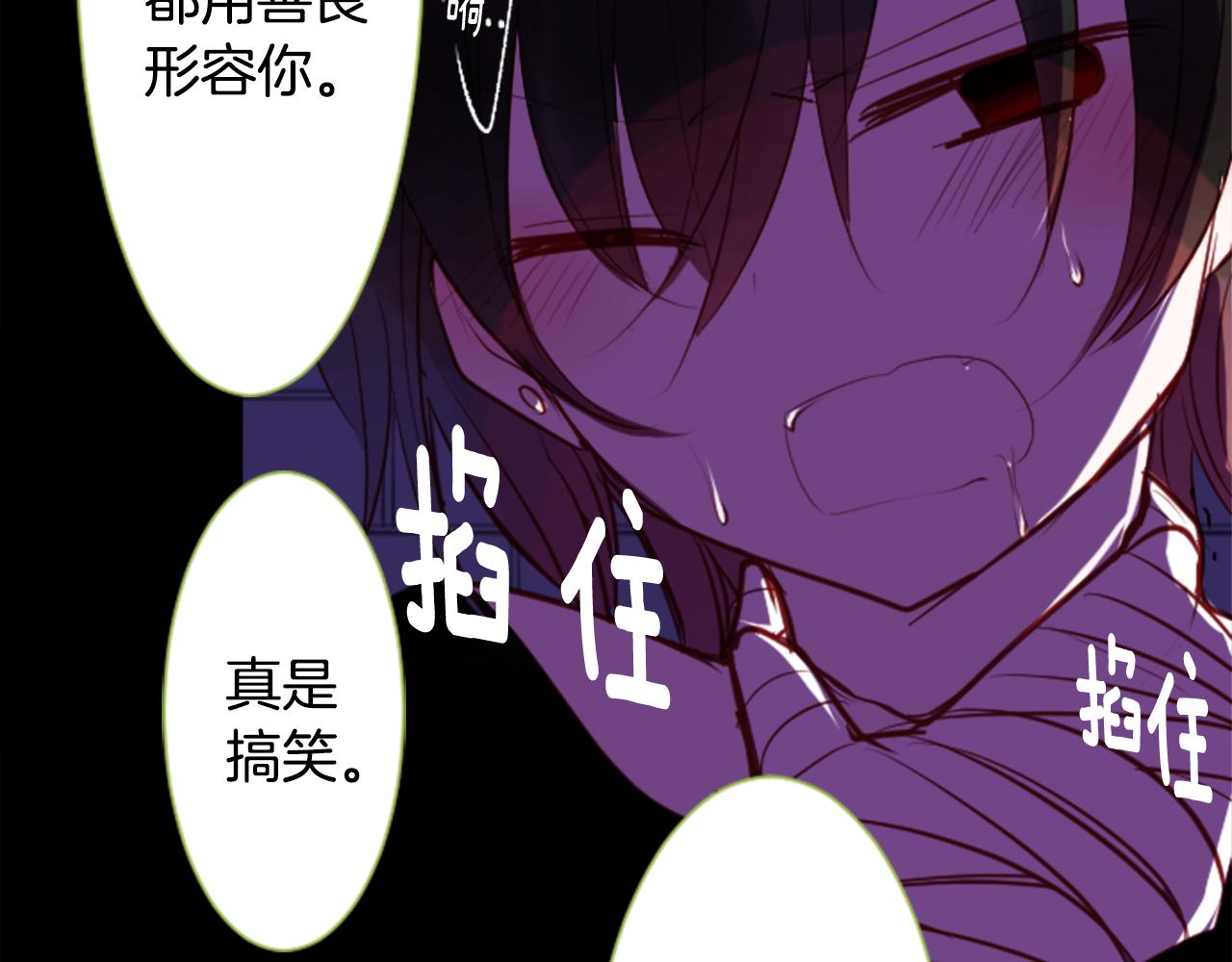 第41话 养不了的猫咪79