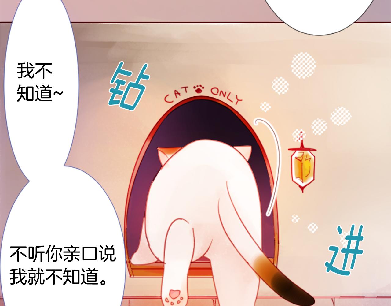 第76话 上午8点的小王子233