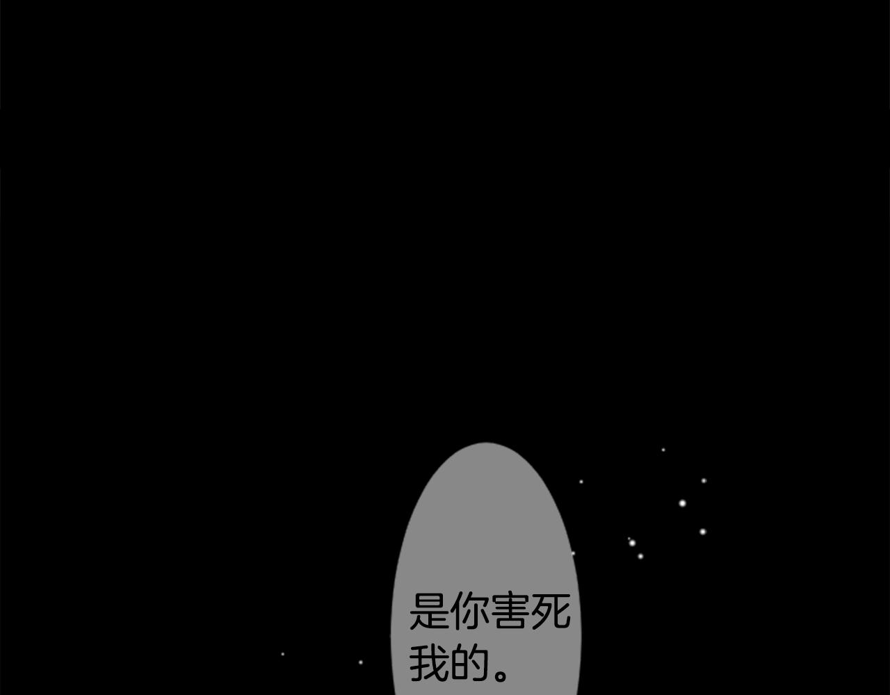 第33话 魔法师和恶魔猫12