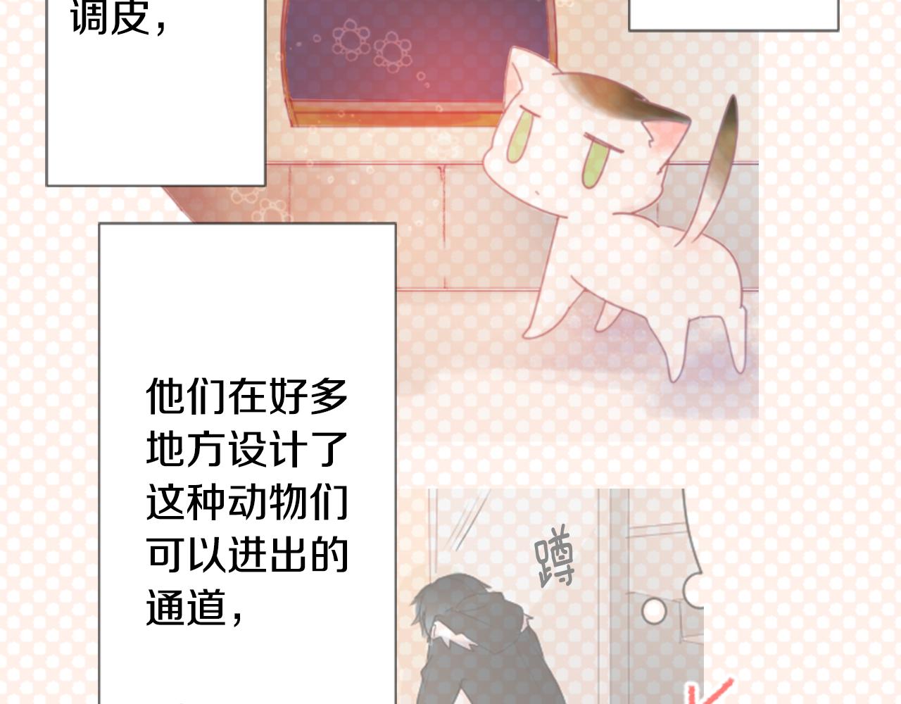 第76话 上午8点的小王子268