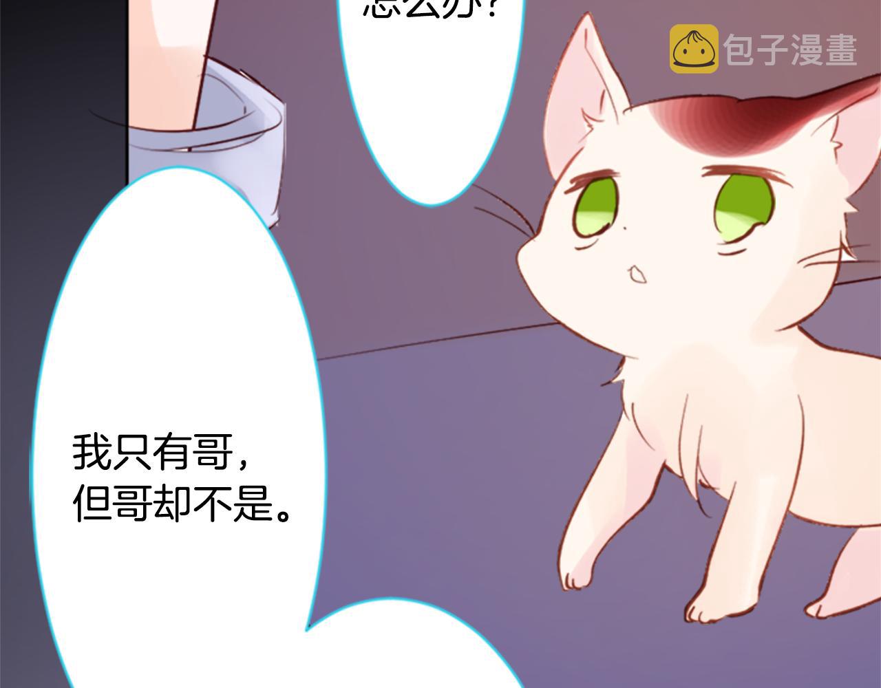 第164话 不可以睡着 ，星光游行57