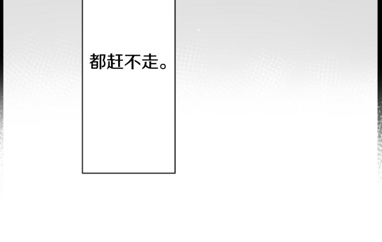 第11话 转来转去的回忆9