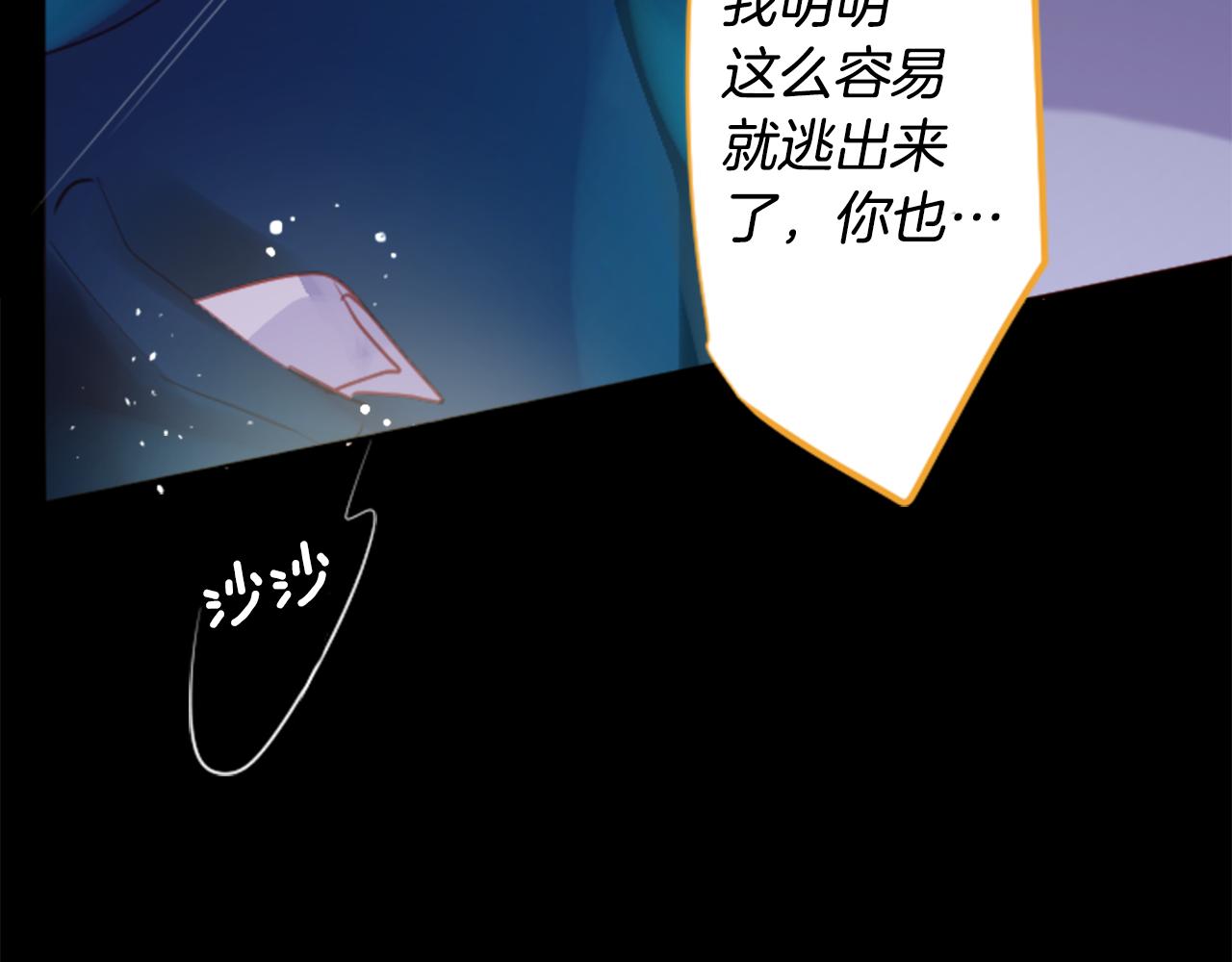 第131话 流星的回忆374