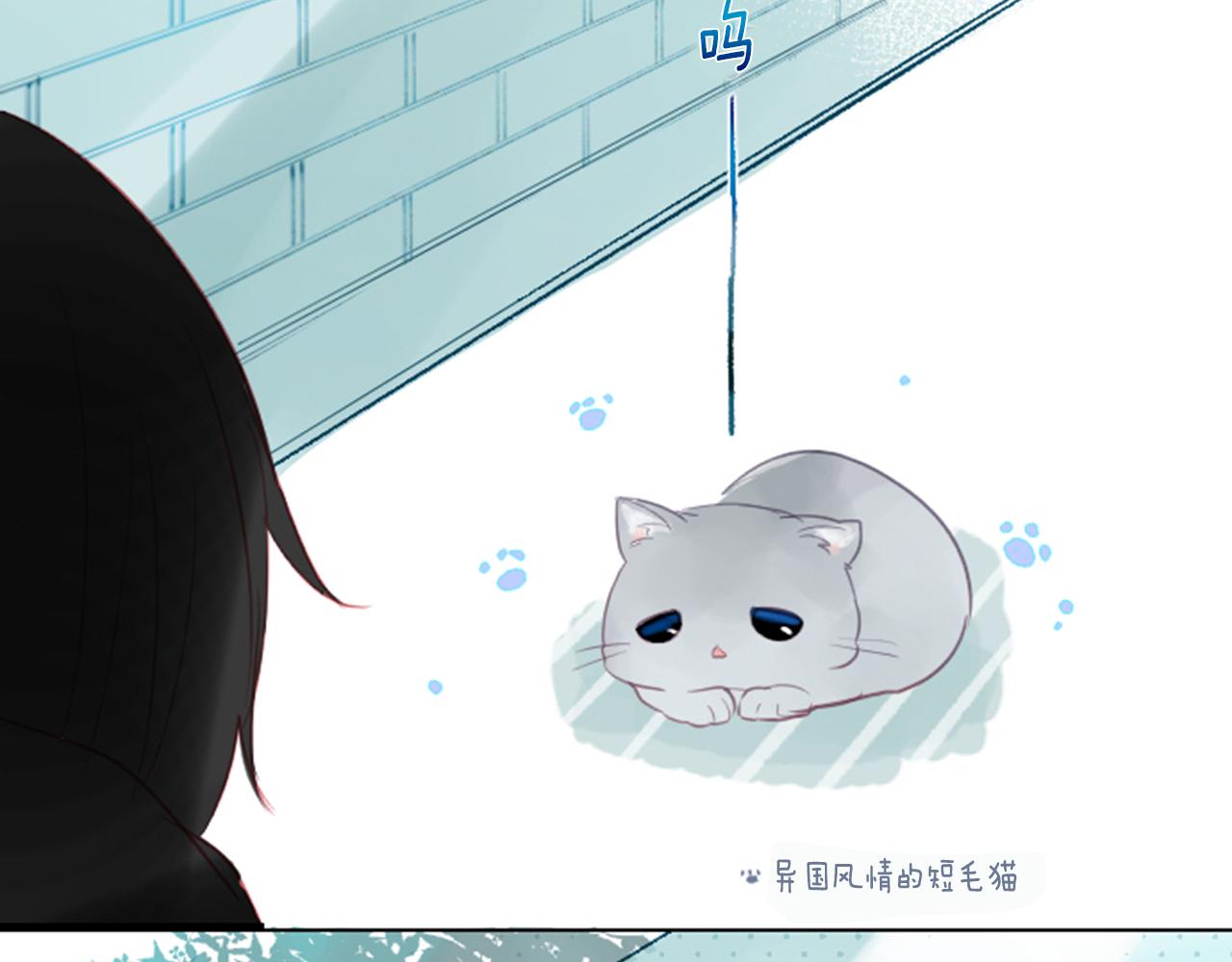 第21话 开幕信号111