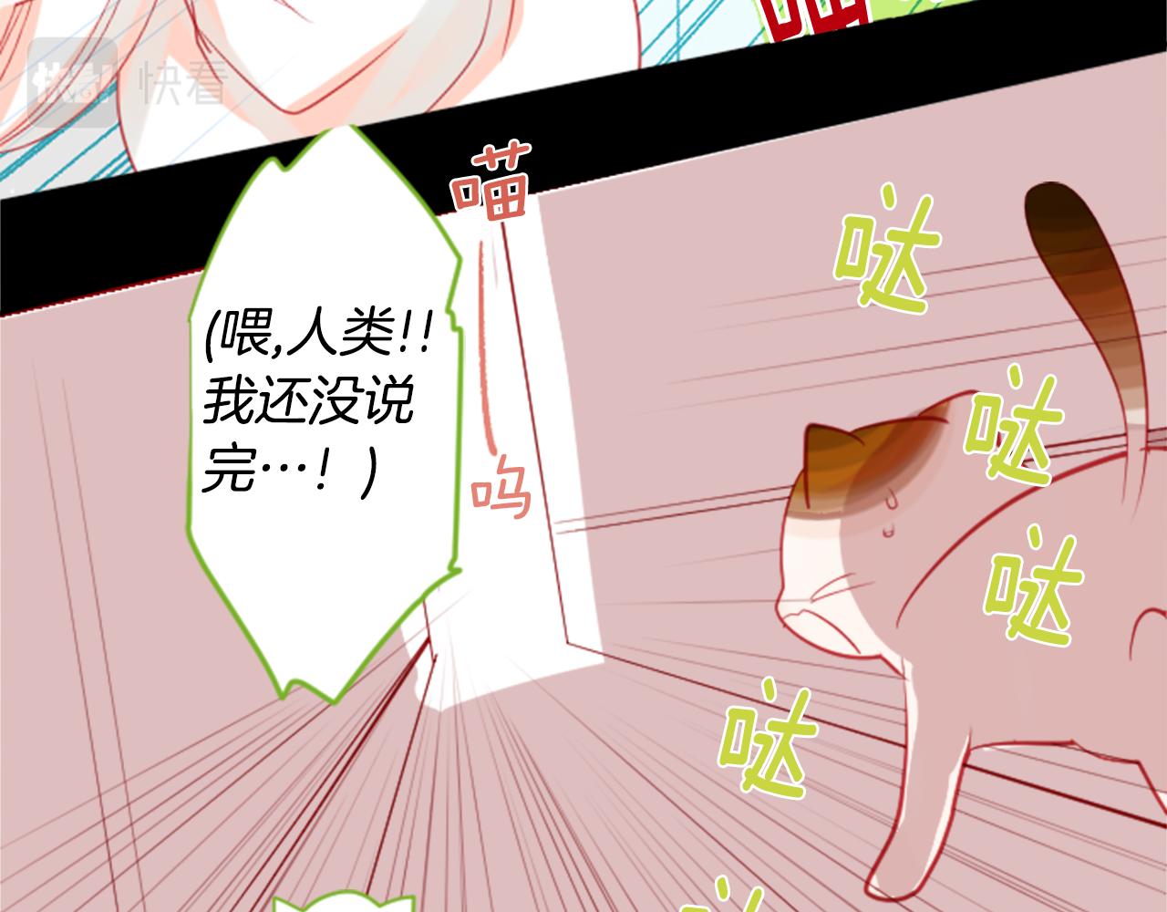 第35话 魔法师和恶魔猫311