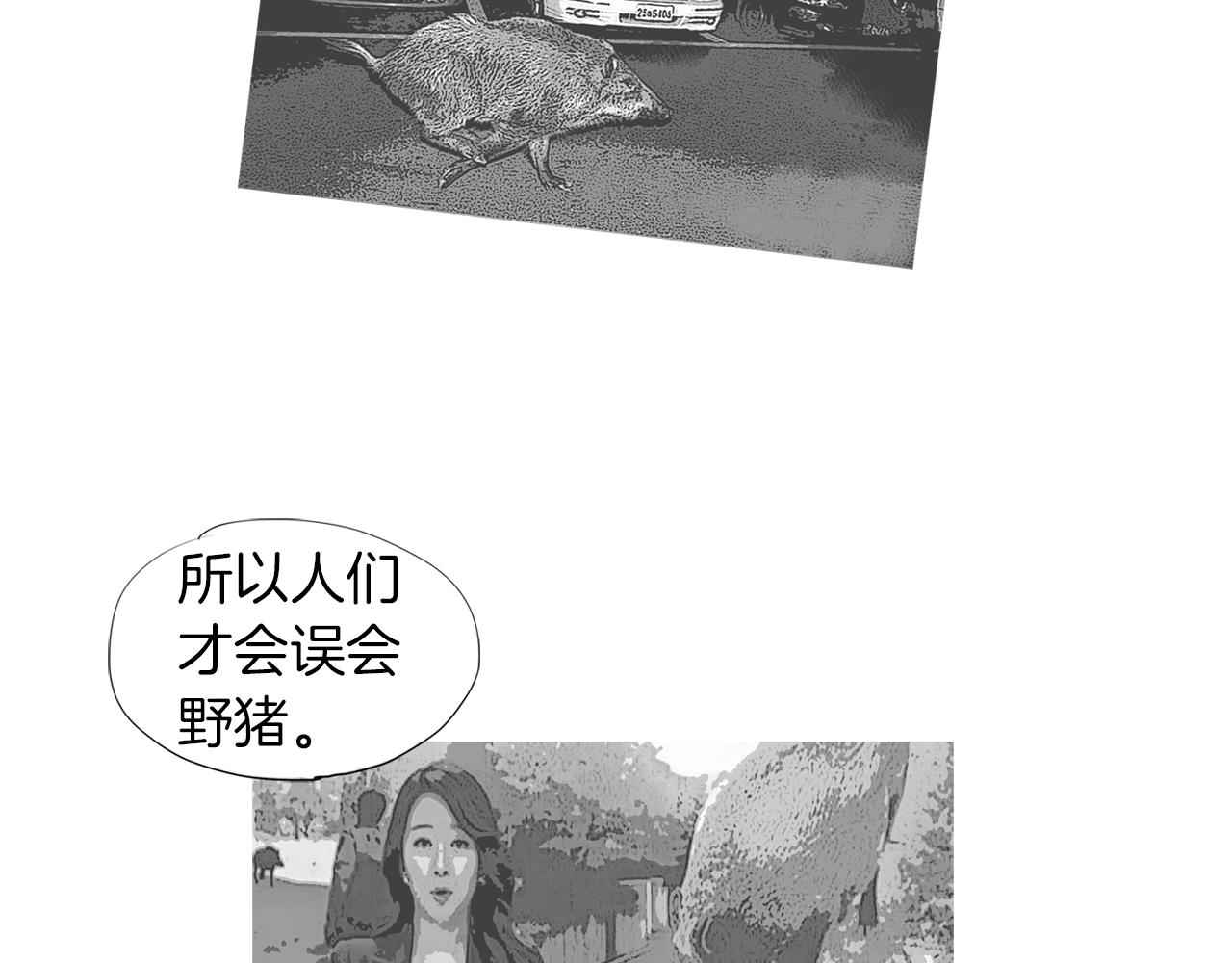 第42话 野猪节目？23
