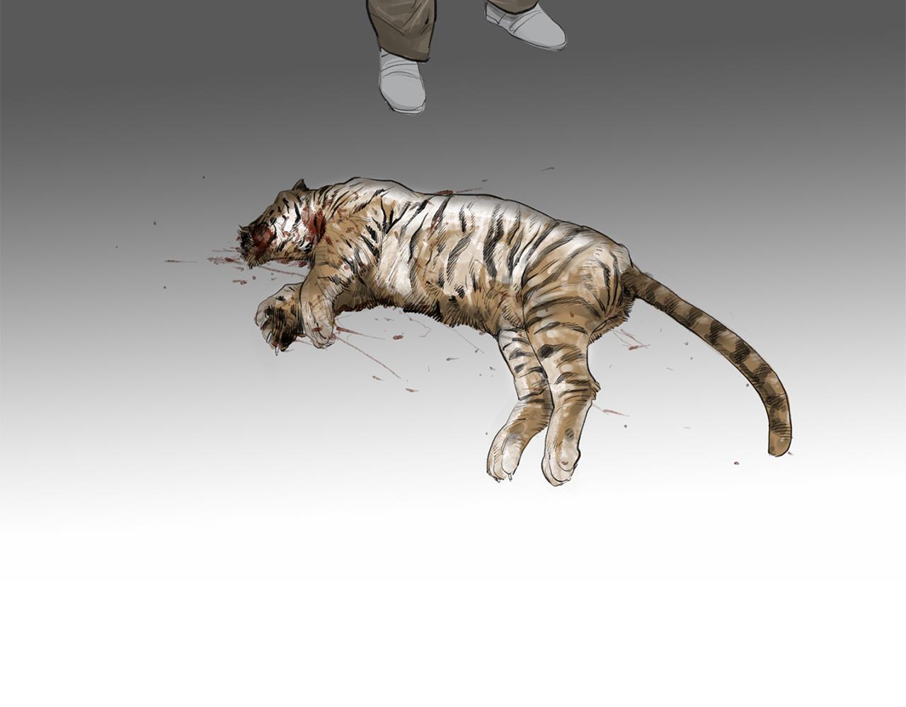 第56话 猛虎33