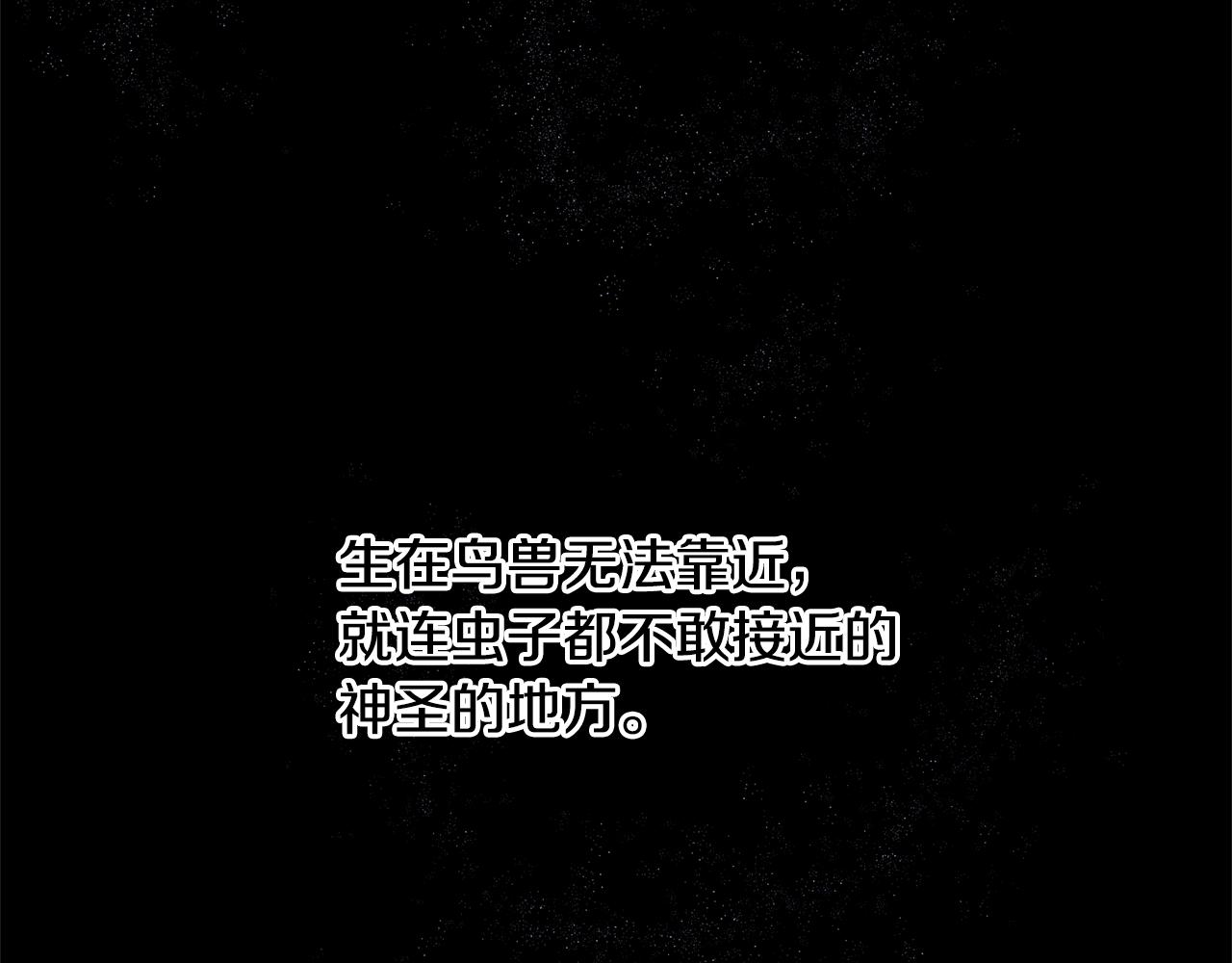 第7话 黄金树林的传说40