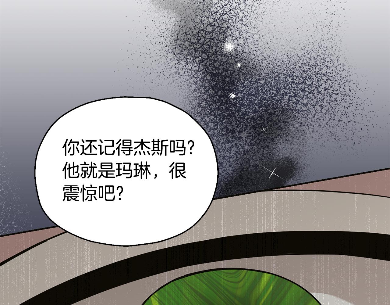 第96话 准备觉醒仪式163