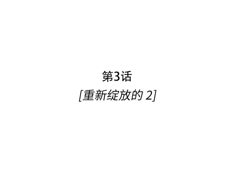 第3话 梦幻之夜2