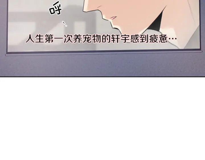 第14话 节目首播62