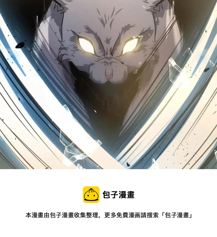 第23话 喜得宠物8