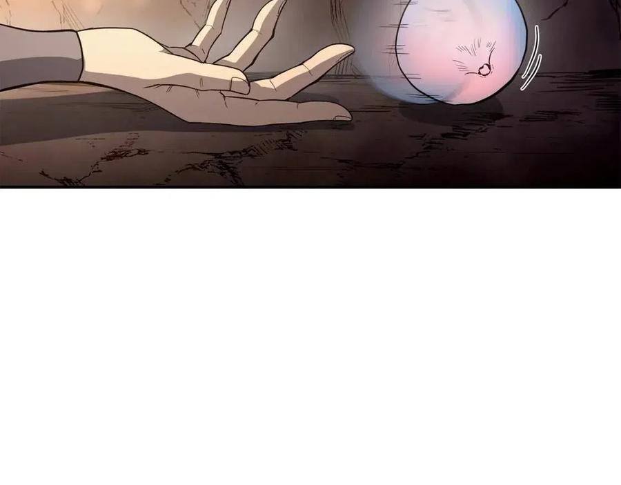第23话 喜得宠物163
