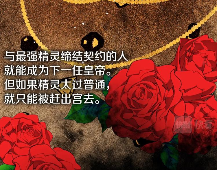 第2话 华丽的精灵36