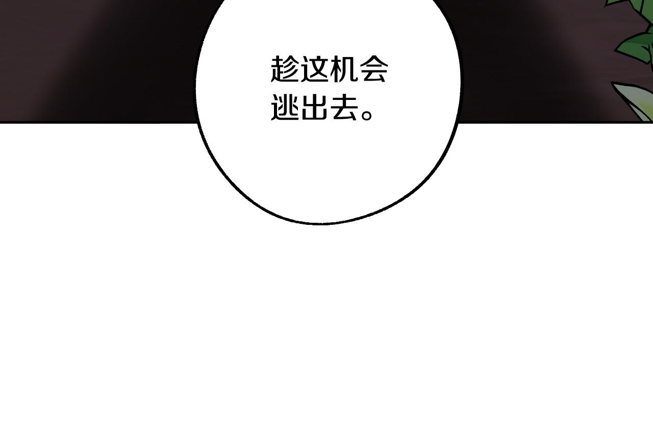 第38话 绝处逢生12