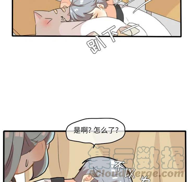 815