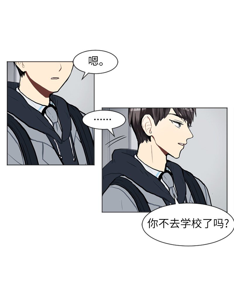 61 理想与现实442