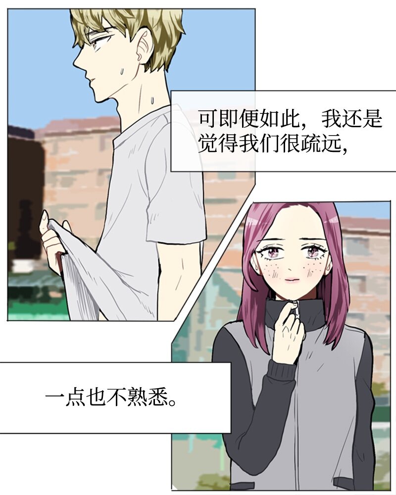 37 小王子与玫瑰花322