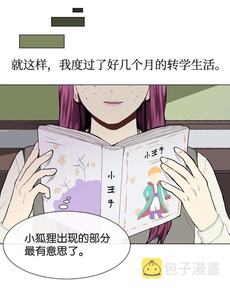 37 小王子与玫瑰花317