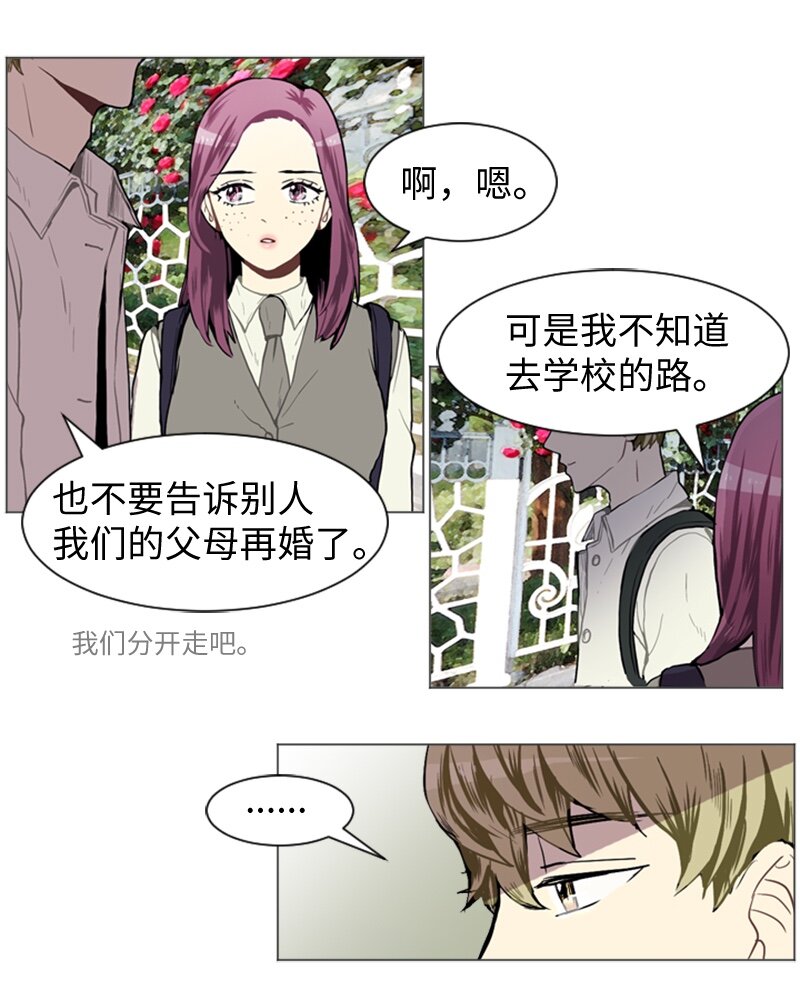 36 小王子与玫瑰花224