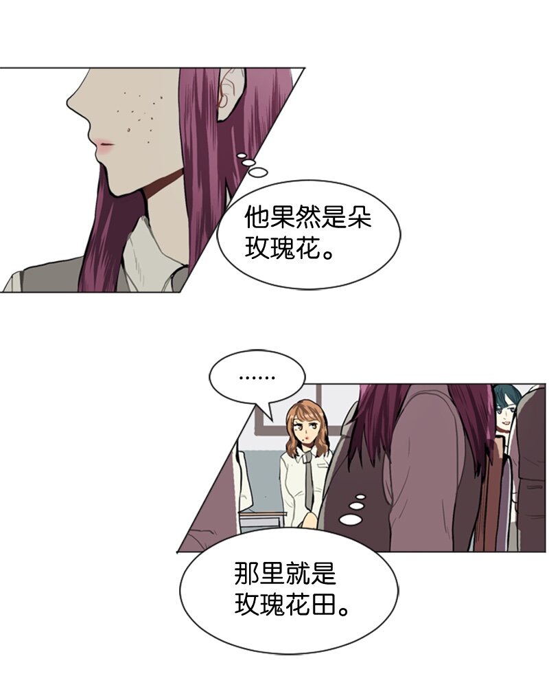 36 小王子与玫瑰花241