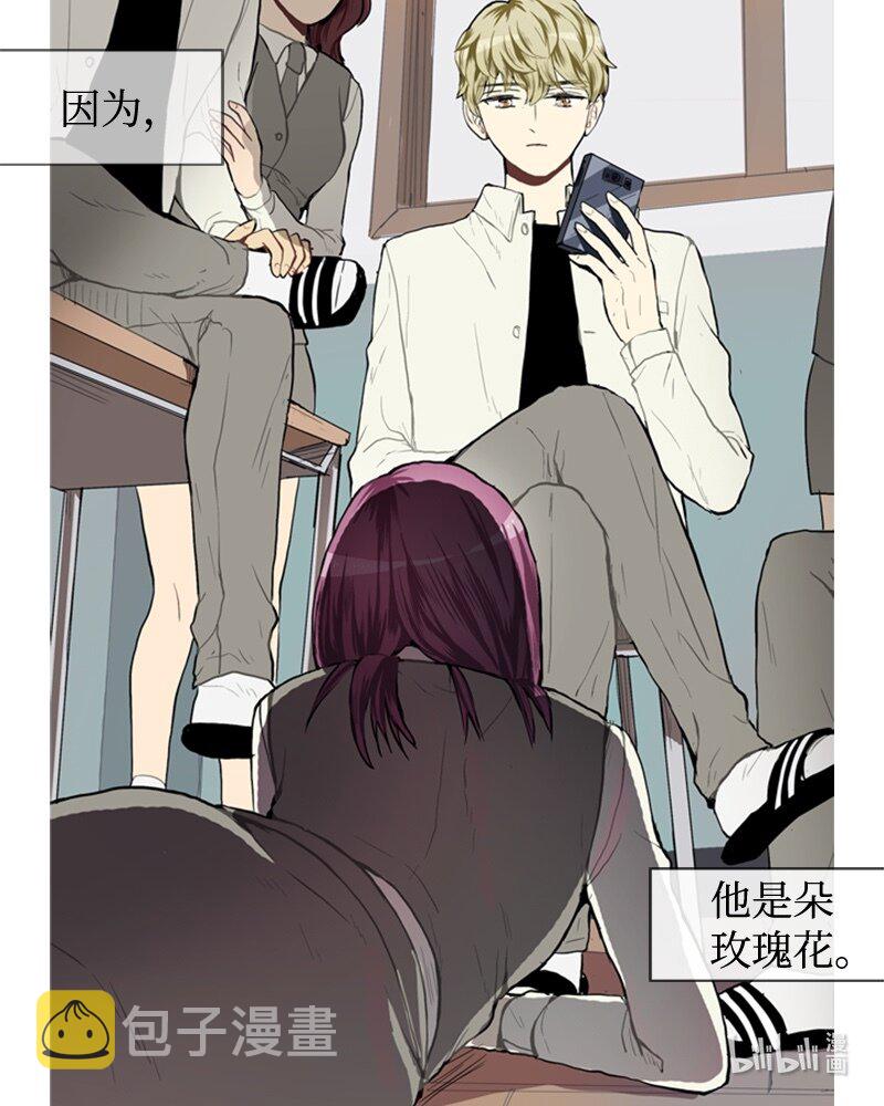 36 小王子与玫瑰花257