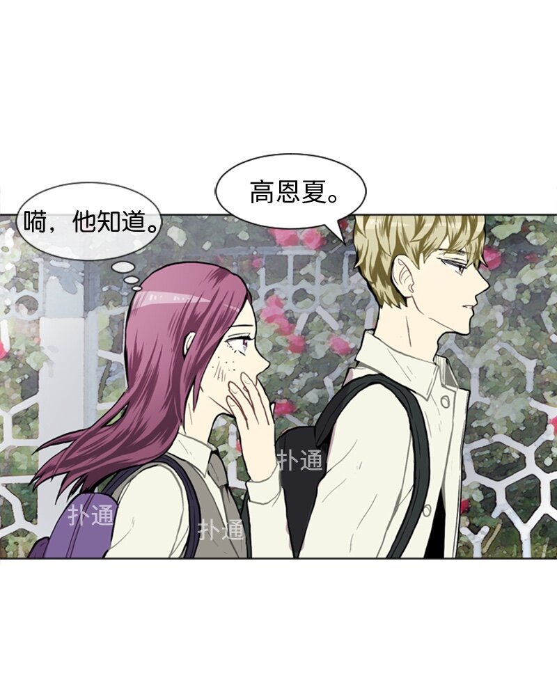 36 小王子与玫瑰花226