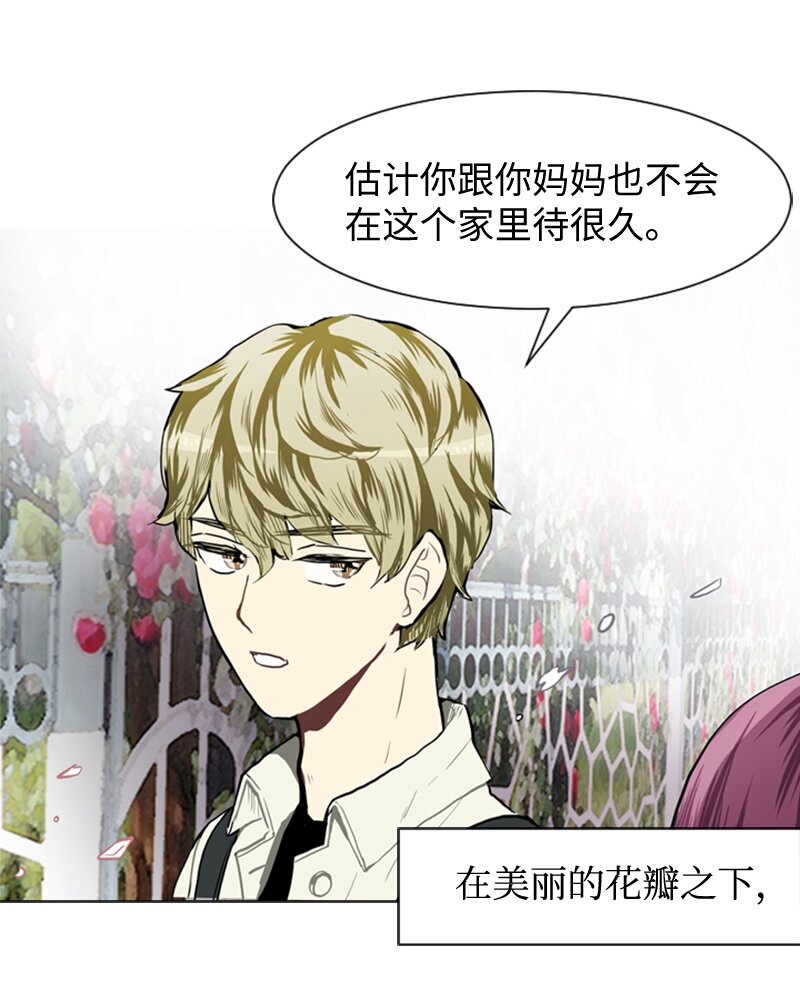 36 小王子与玫瑰花230