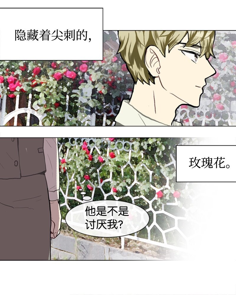 36 小王子与玫瑰花231