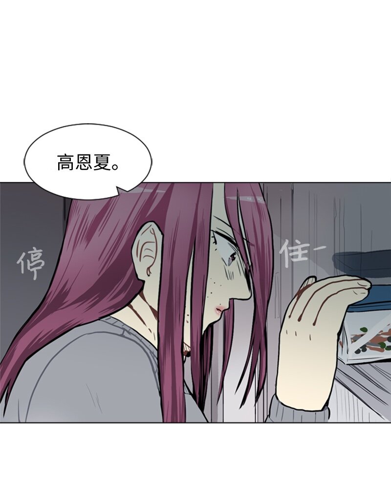 49 几年後的重逢53
