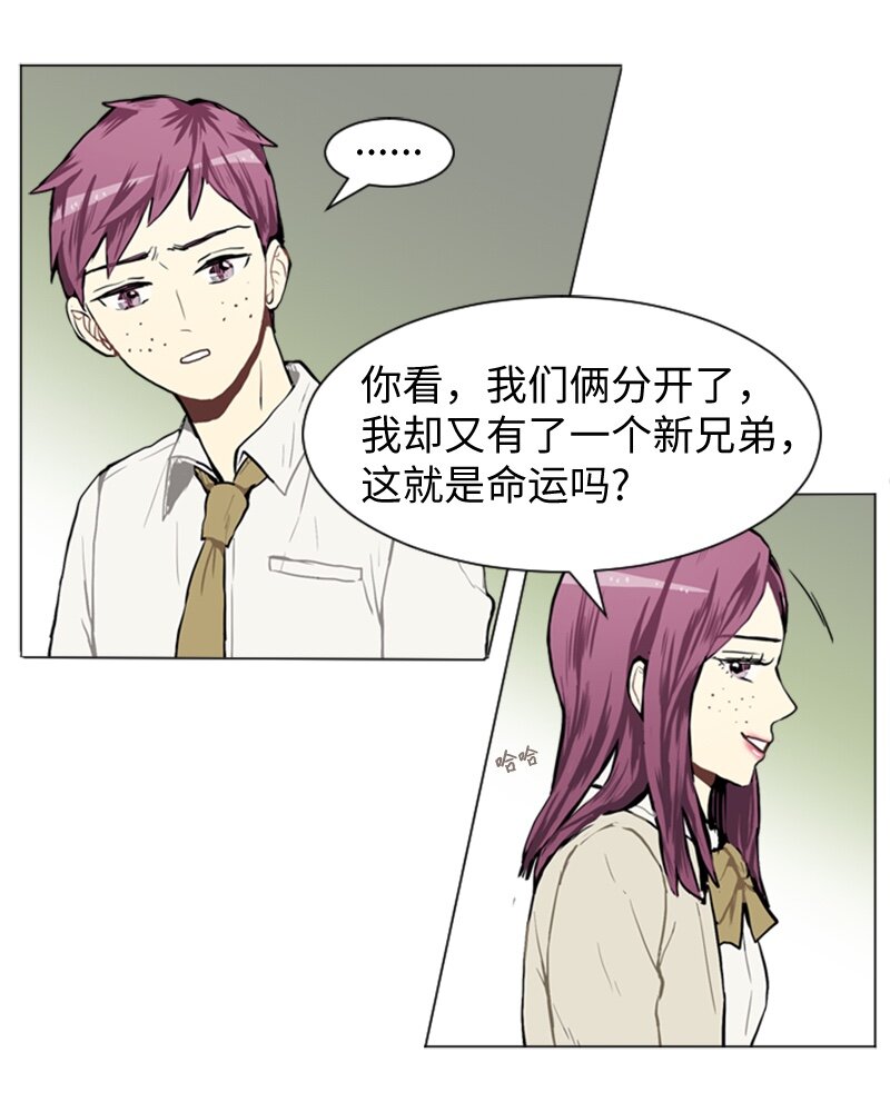 35 小王子与玫瑰花28