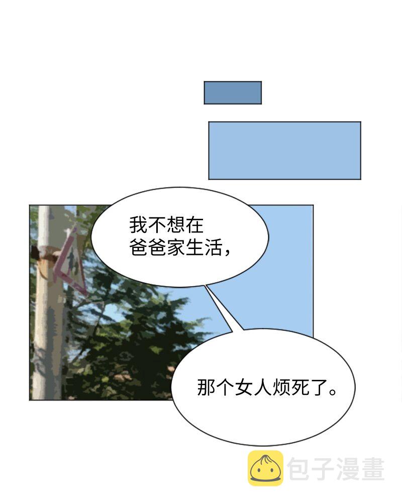 35 小王子与玫瑰花21