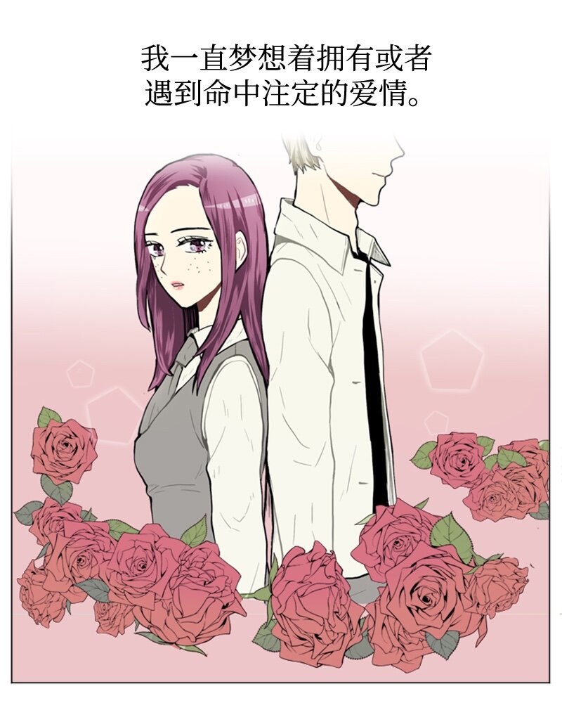 35 小王子与玫瑰花0