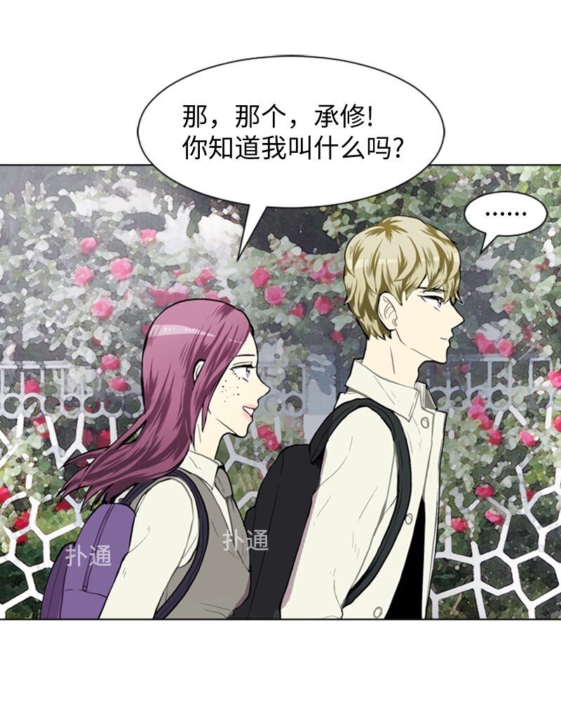 36 小王子与玫瑰花225