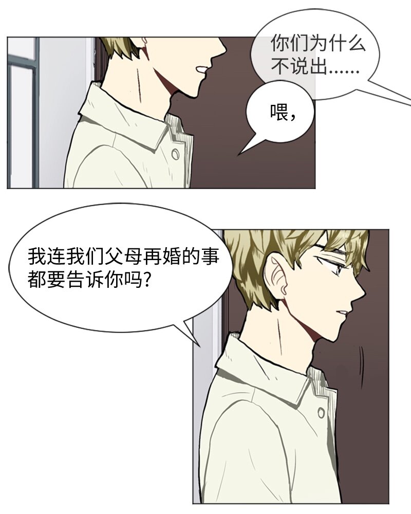 38 小王子与玫瑰花48
