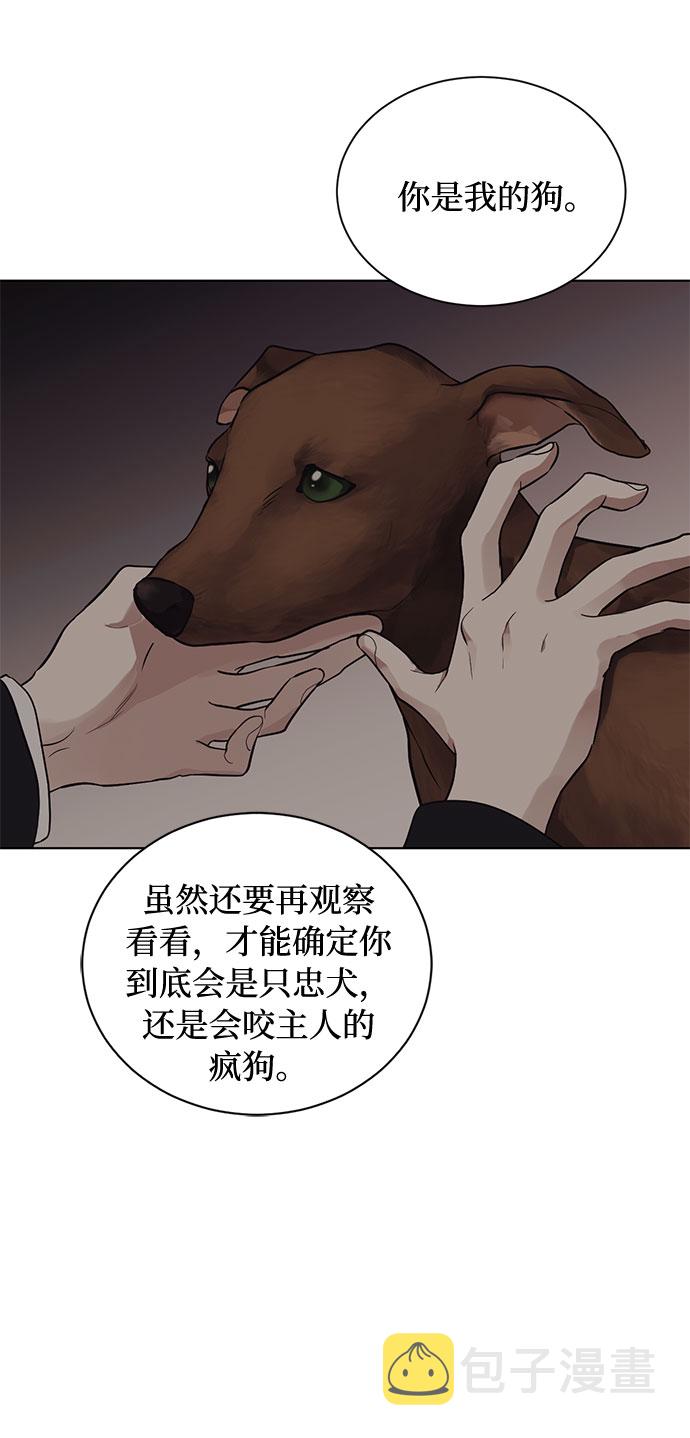 第15话 多彻的狗，威廉多勒夫的狗（3）46