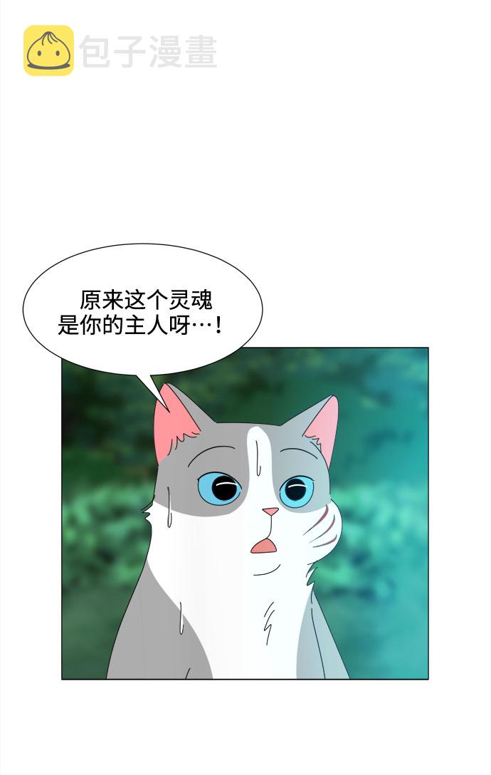 第38话 板栗饼9