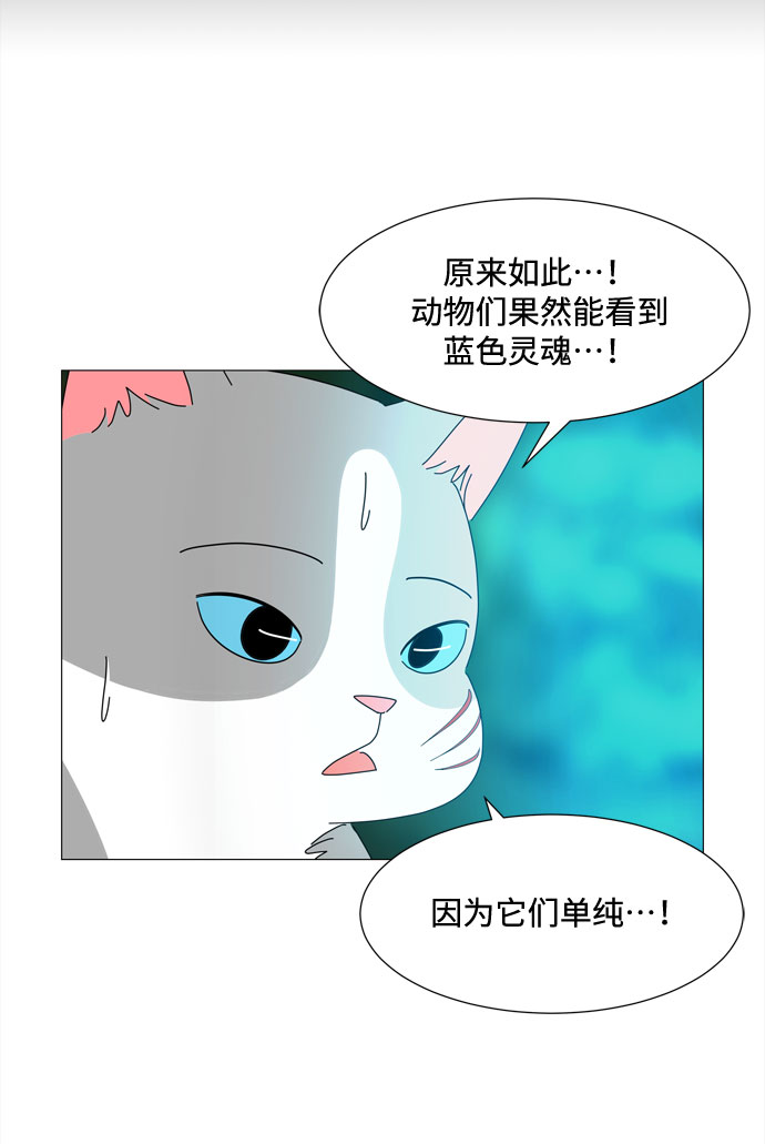 第38话 板栗饼22