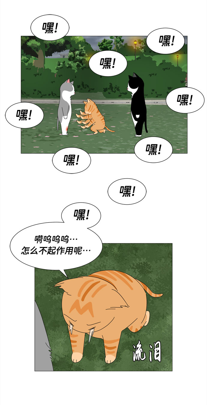 第1话 最无害的人类8