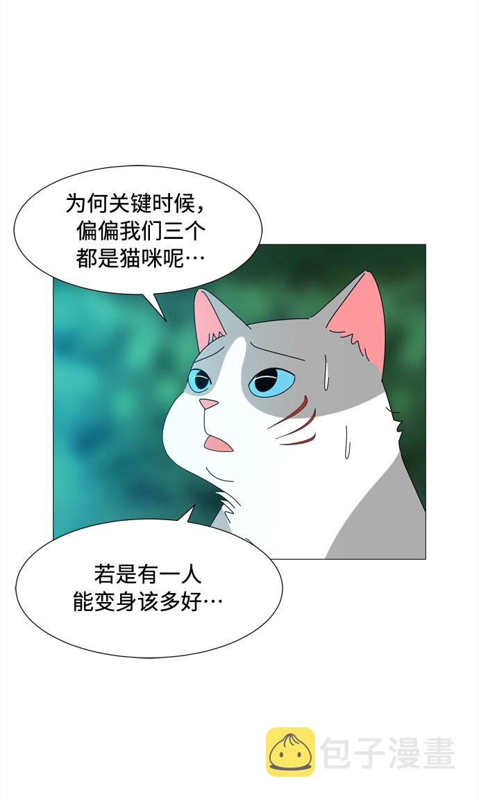 第37话 新的灵魂31