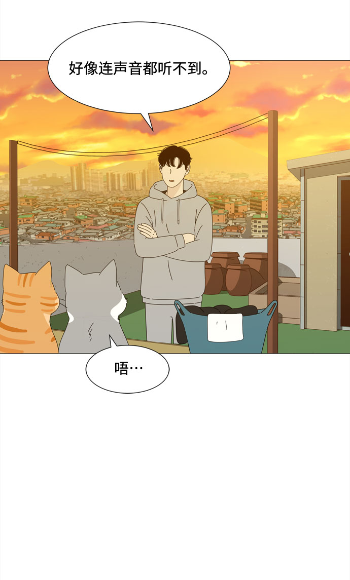 第29话 保护你26
