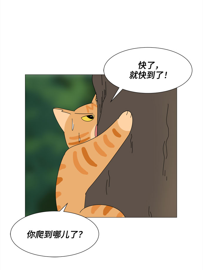 第21话 找到书包36