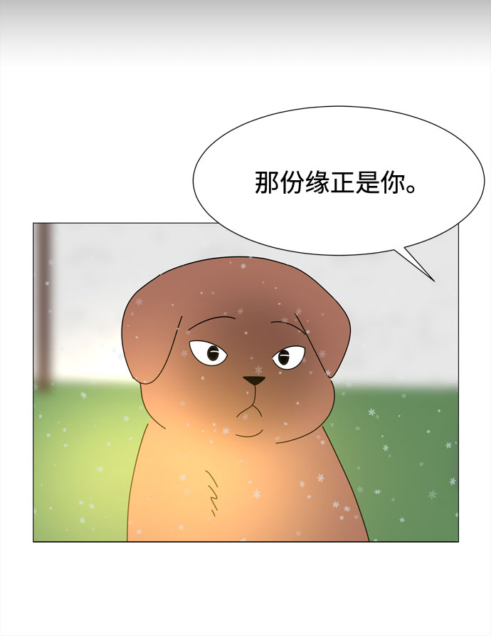 第65话 星星（3）35