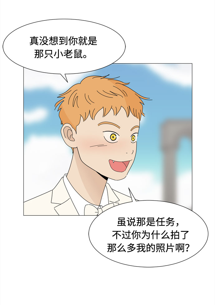 第71话 野生天使保护区域61