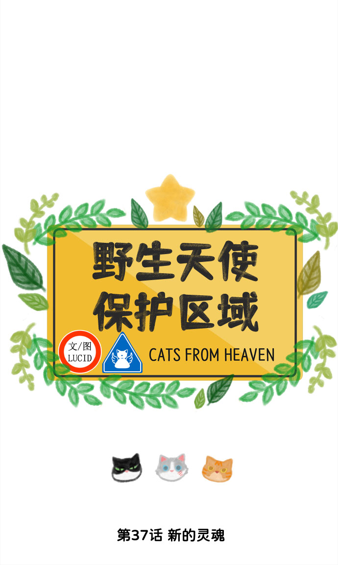 第37话 新的灵魂7